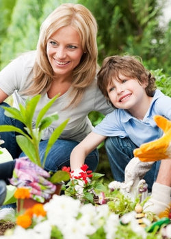 How to make a fresh fruit arrangement